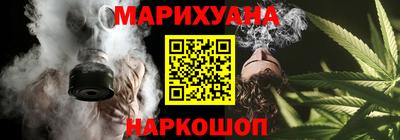 сатива Гатчина