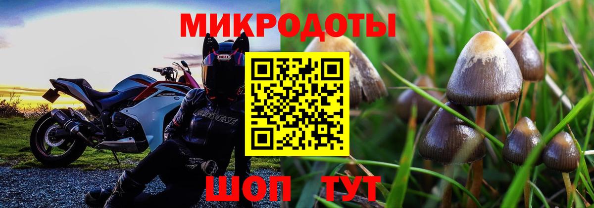 Малгобек  Галлюциногенные грибы GOLDEN TEACHER  Псилоцибиновые грибы ЛСД  Вход с VPN 